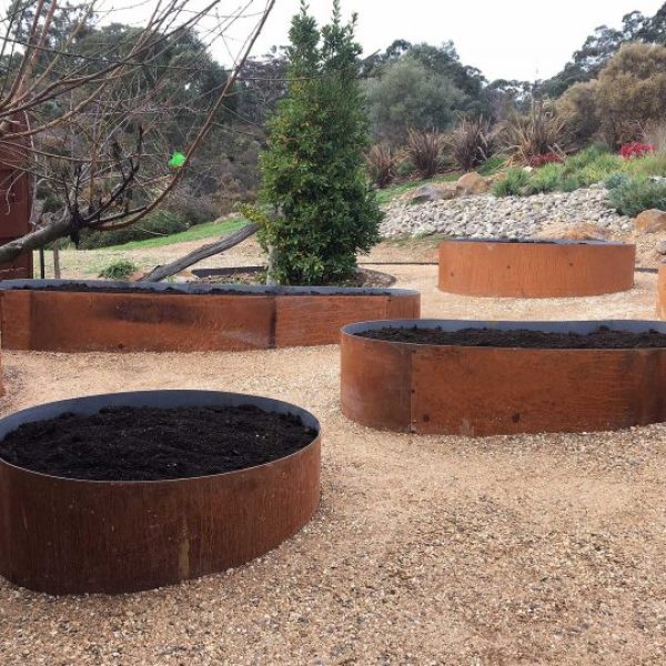 Tree Rings